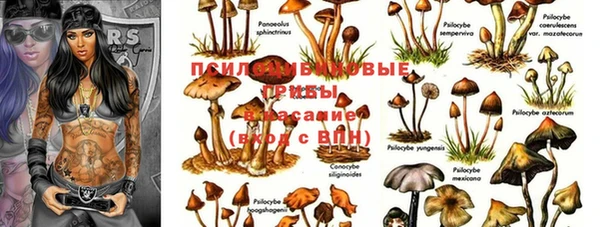 тгк Рославль