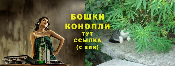 тгк Рославль