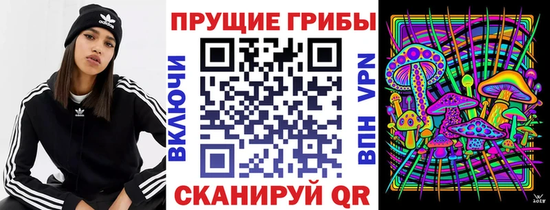 Псилоцибиновые грибы мухоморы  Купить где  Новая Усмань 